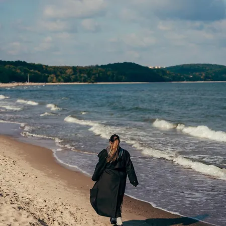 Havana Premium Family By Lion