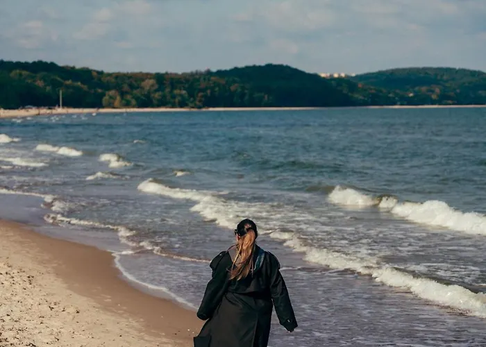 Havana Premium Family By Lion